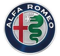 Alfa Romeo Leather Repair Paint