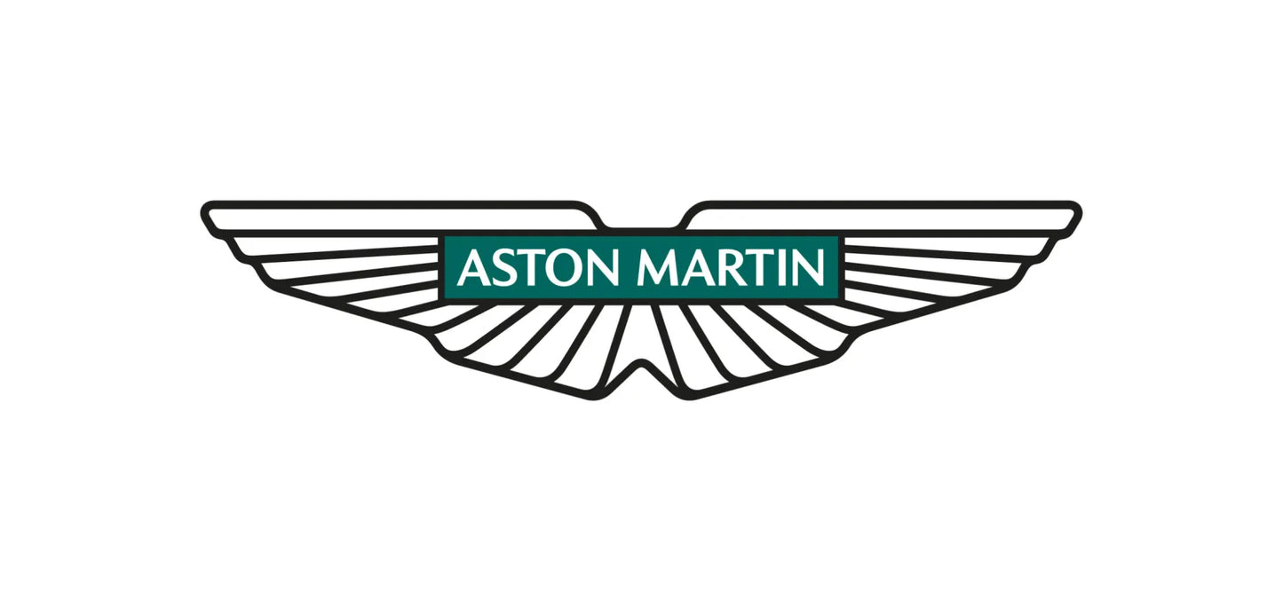 Aston Martin  Leather Repair Paint