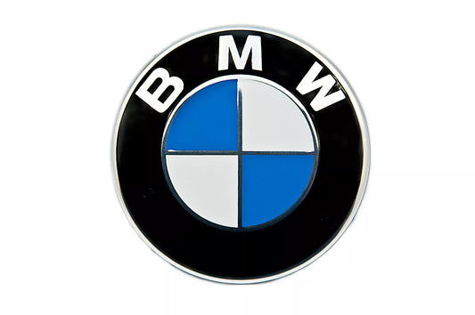 BMW Leather Repair Paint White and Bright