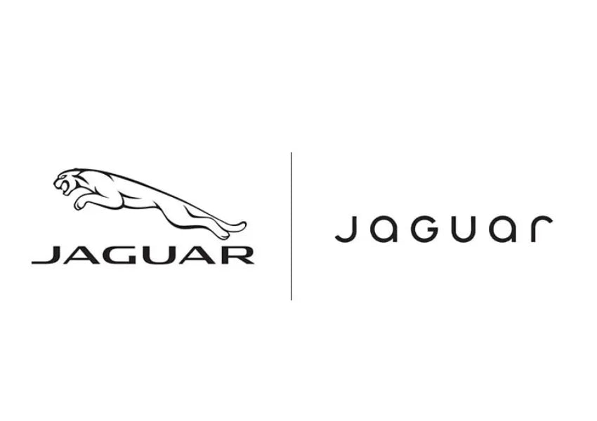 Jaguar Leather Repair Paint Extended