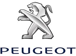 Peugeot Leather Repair Paint