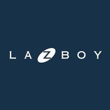 Lazboy Leather Repair Paint