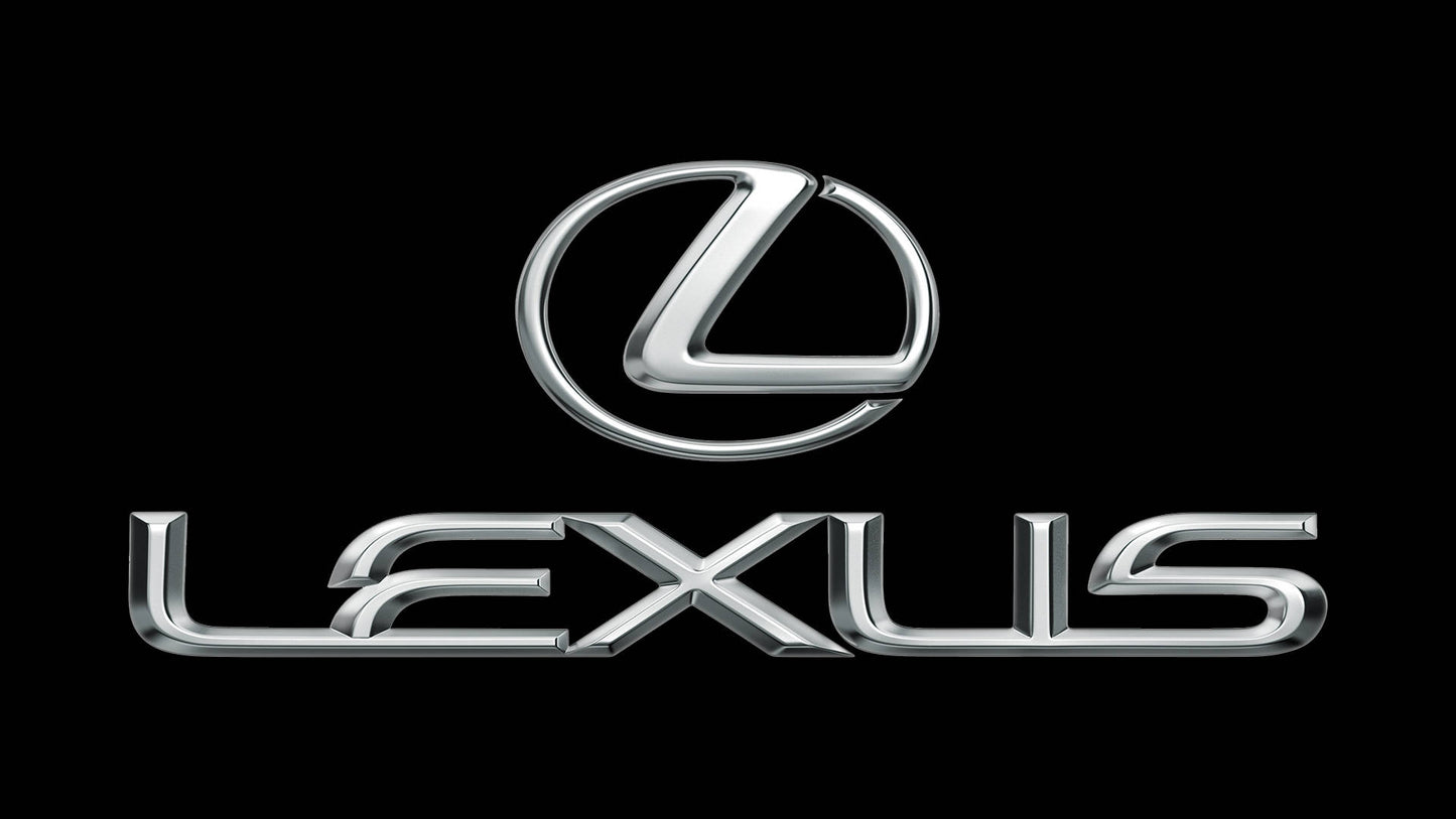 Lexus Leather Repair Paint