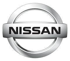 Nissan Leather Repair Paint